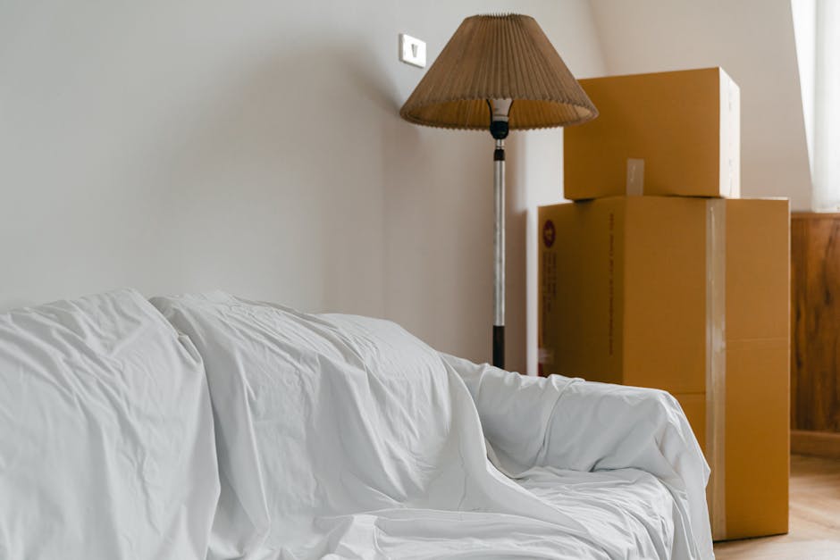 Inside a home undergoing a furniture transport process, a man wearing casual clothing is seen lifting a large cardboard box wrapped in plastic film, preparing to move it through a doorway. Several sim